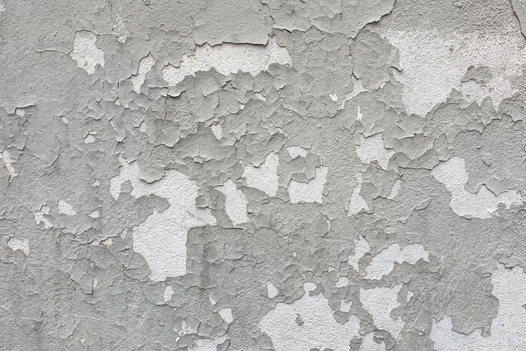 Grey paint flaking and peeling away from a wall, exposing the pale surface underneath